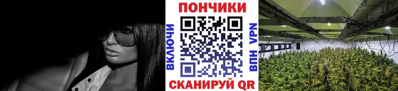 Где продают наркотики Новотитаровская Амфетамин Меф мяу мяу Гашиш Канабис A-PVP