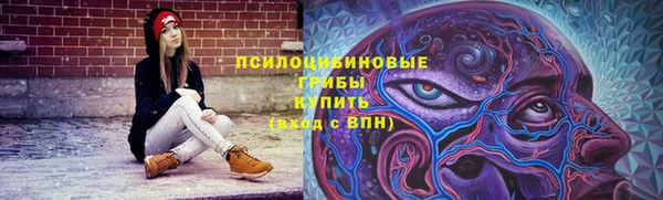меф Ладушкин