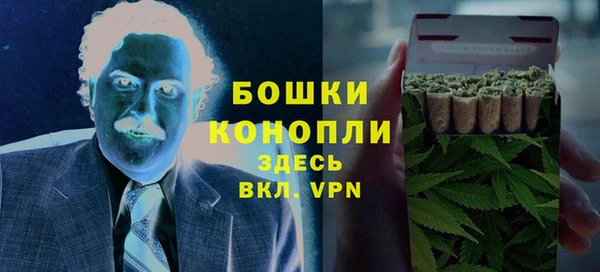 стаф Невель