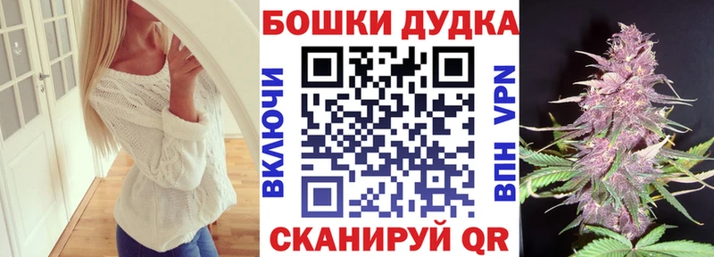 купить наркоту  Новотитаровская  Бошки Шишки конопля 